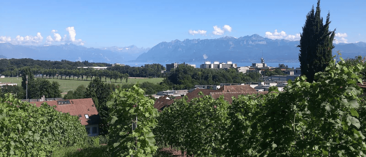 Ville de Ecublens où nous proposons nos services de débarras